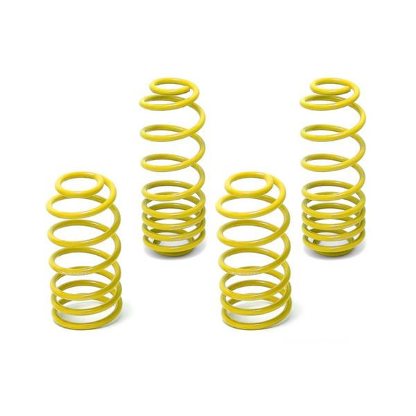 NEUSPEED Race Springs Kit | MK4 GTI · Jetta · GLI | 2.8L VR6